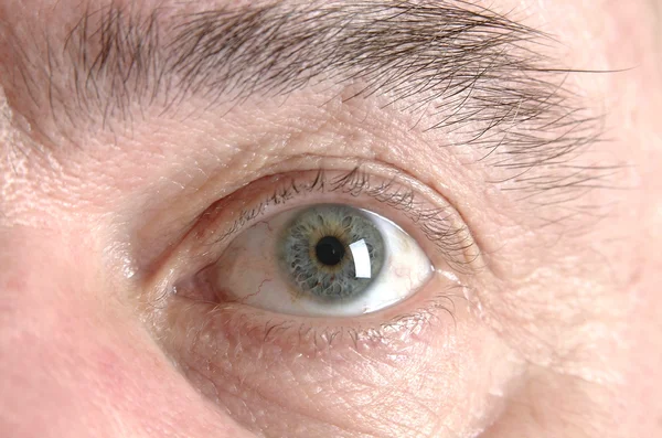 Krásné Mužské Oko Bez Make Upu — Stock fotografie