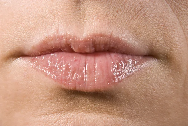 stock image The Beaiful woman lips