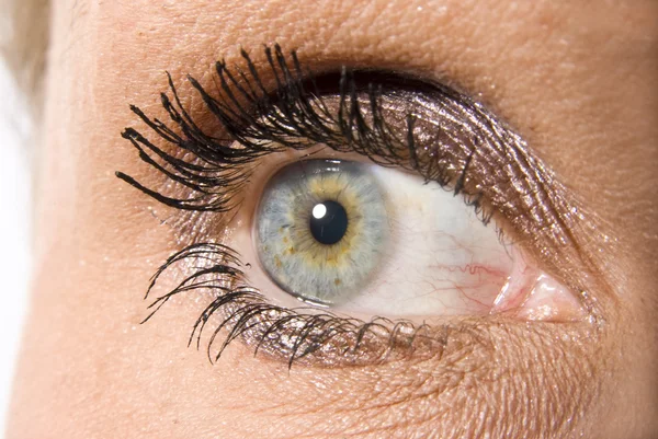 Bellissimo occhio femminile — Foto Stock