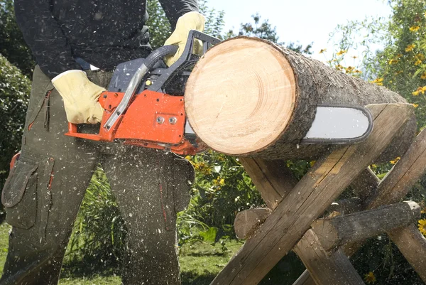 The chainsaw — Stock Photo, Image