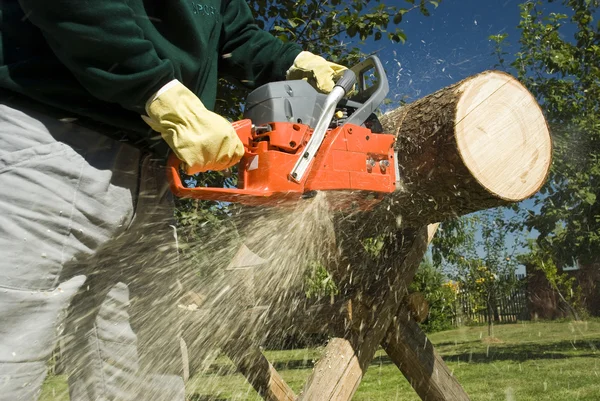 The chainsaw — Stock Photo, Image