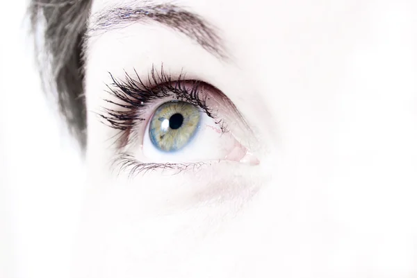 Krásné Ženské Oko Bez Make Upu — Stock fotografie
