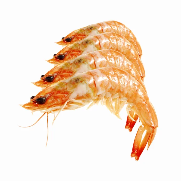 The Red Shrimps — Stock Photo, Image