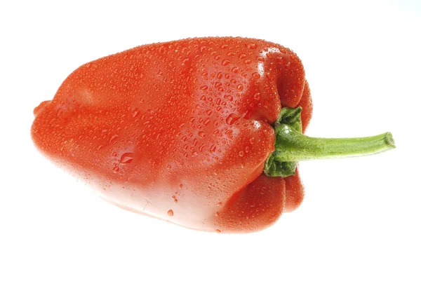 Il peperone rosso — Foto Stock