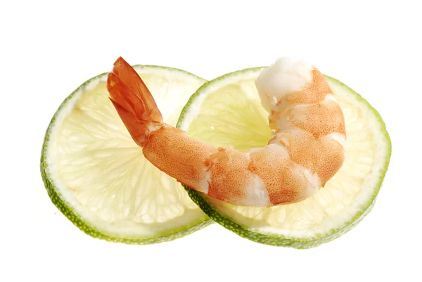 The Red Shrimp — Stock Photo, Image