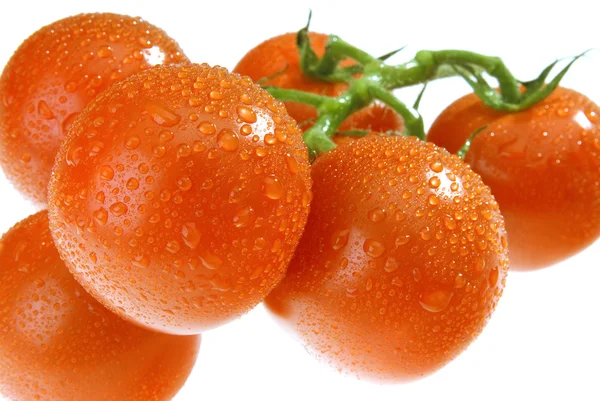Bunch Dewy Tomatoes — Stock Photo, Image