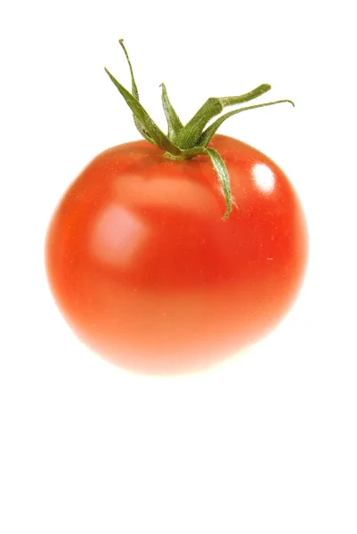 The Tomato — Stock Photo, Image