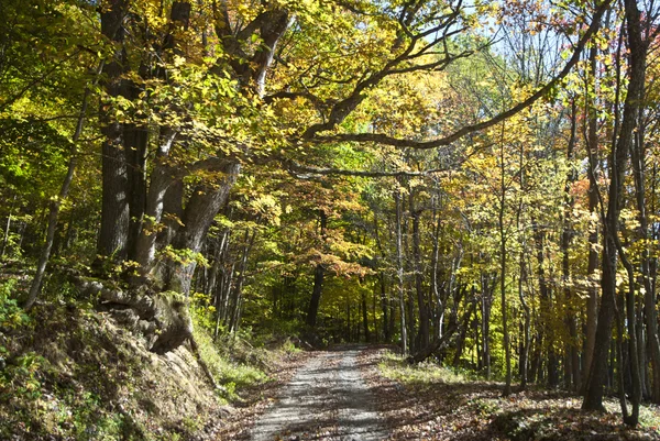 stock image Autumn in West Virginia