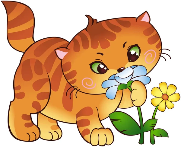 Kotek i kwiaty — Wektor stockowy