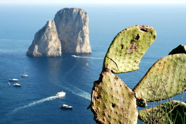 Вид на скелі острова Капрі — стокове фото
