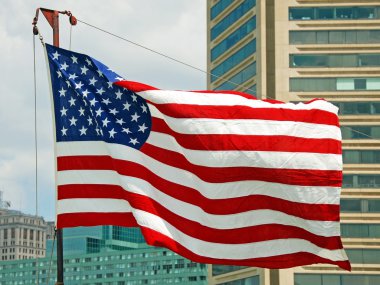 US flag flapping in wind clipart