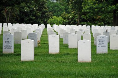 Gravestones on Arlington National Cemetery clipart