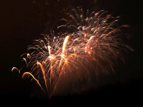 New Year celebration firework — Stock Photo, Image