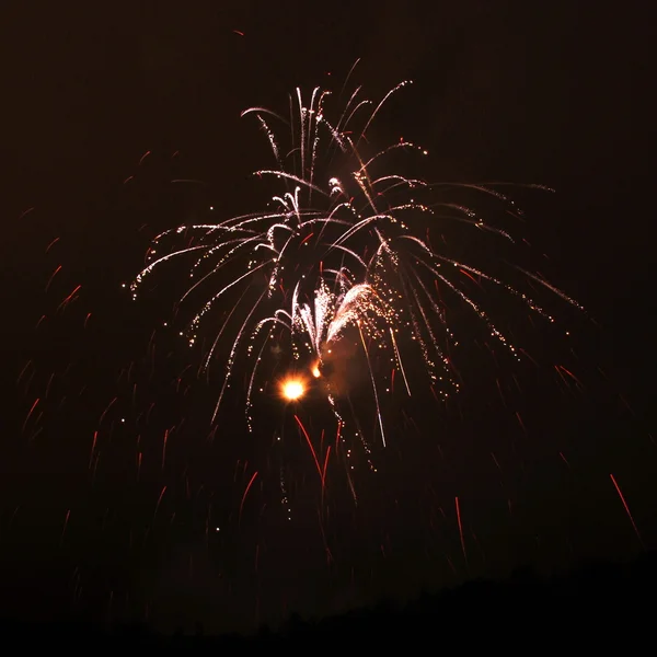 New Year celebration firework — Stock Photo, Image