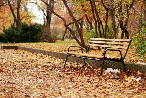 stock image Bench in Park