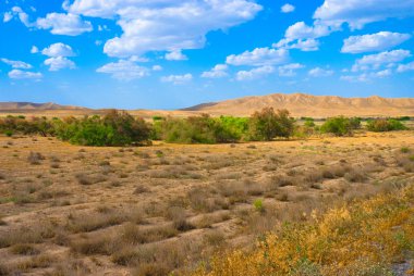 View in Turkmenistan clipart