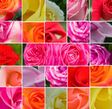 Floral collage background clipart