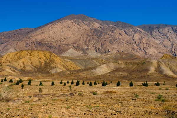 Горы Туркмении — стоковое фото