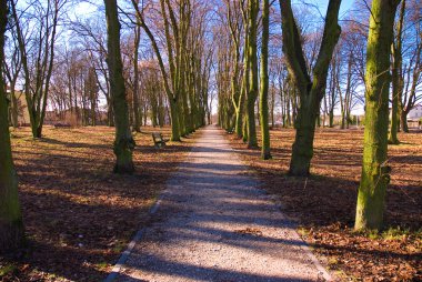 Park kıştan sonra