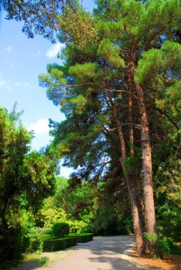 yeşil park