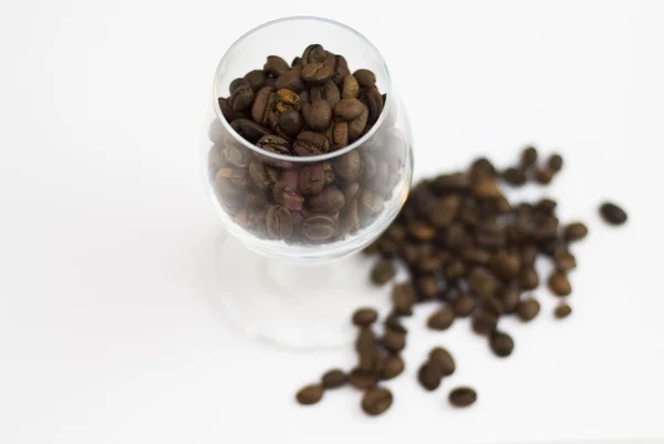 Coffee roasted first class on a white background — Stock Photo, Image
