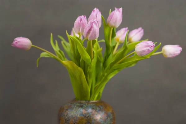 Buquê de tulipas lilás contra um fundo escuro — Fotografia de Stock