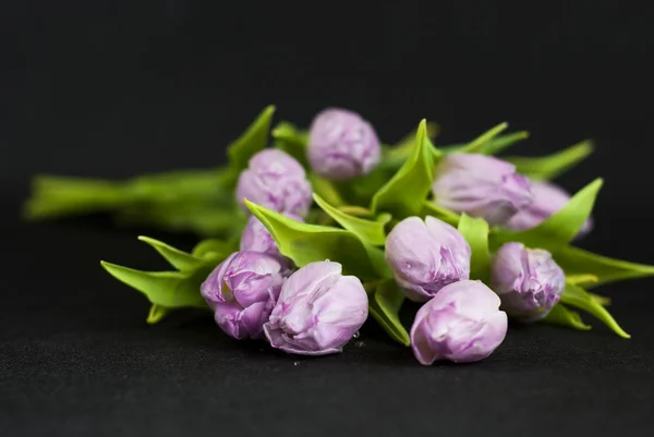 Boeket van lila tulpen tegen een donkere achtergrond — Stockfoto