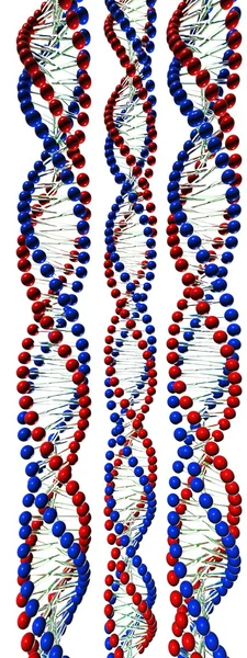 Hélice tripla do ADN — Fotografia de Stock