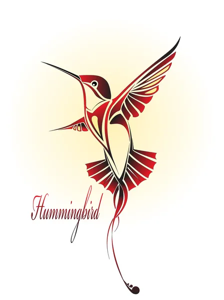 Colore colibrì — Vettoriale Stock