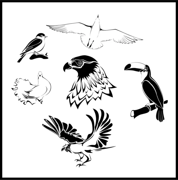 Нові птахів — стоковий вектор