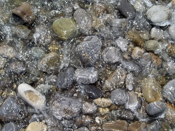 Havet sten — Stockfoto