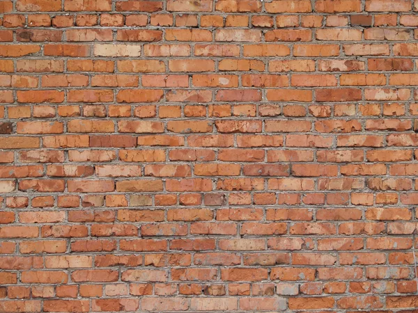 stock image Wall built from red brick