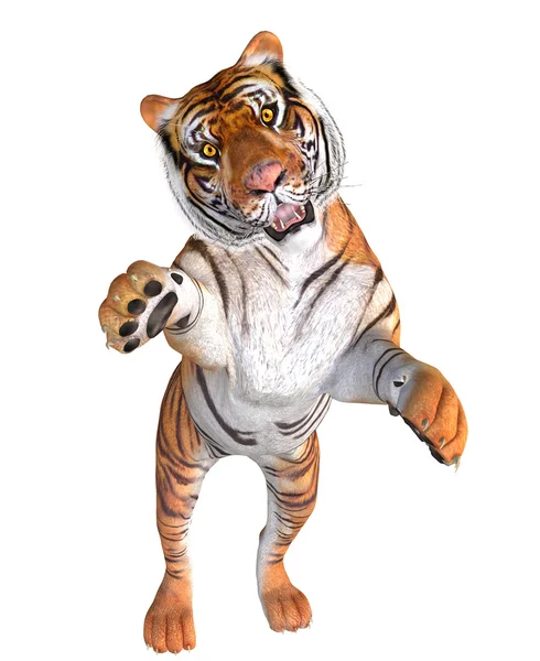 Tiger Zıplama — Stok fotoğraf
