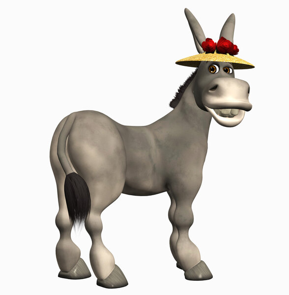 Funny Donkey