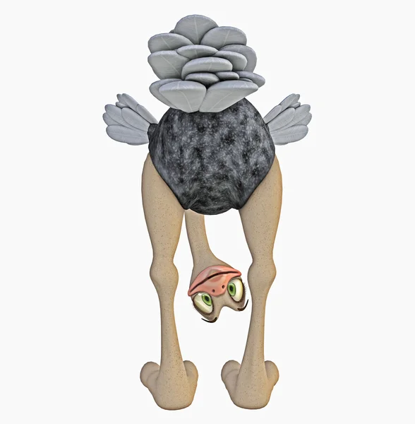 Ostrich toon — Stock Photo, Image