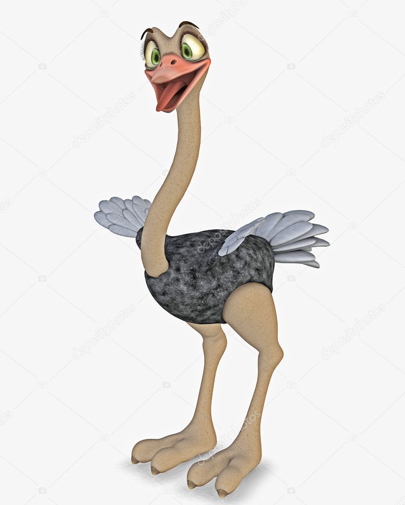 Ostrich toon