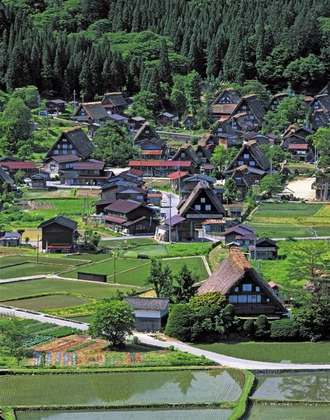 stock image Forest village