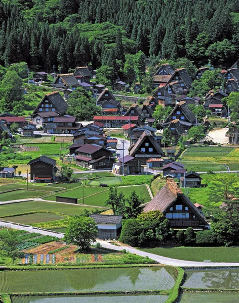 Erdei falu Stock Kép