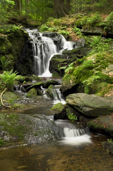 Esta Uma Pequena Cachoeira Uma Floresta Nordeste Baviera Alemanha — Fotografia de Stock