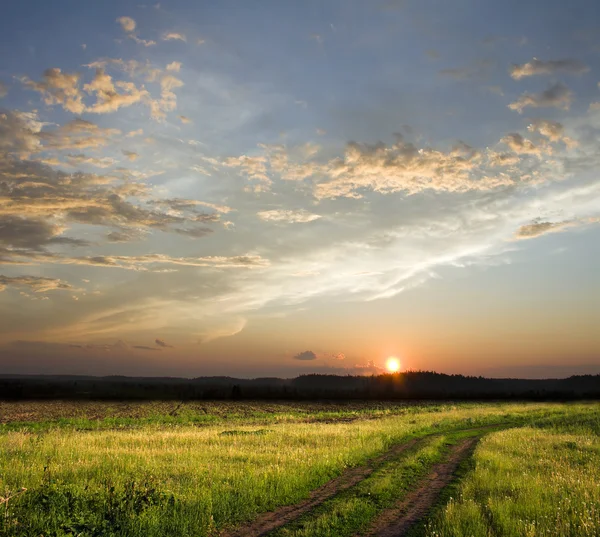 農村レーン上の美しい日没 正方形の組成 — ストック写真