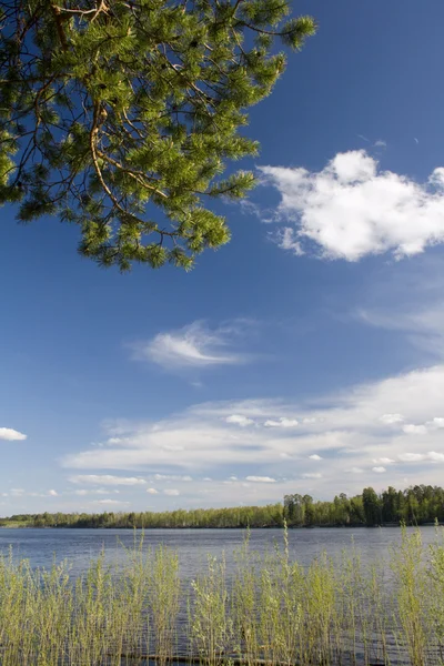 삼목 강 위에 — 스톡 사진