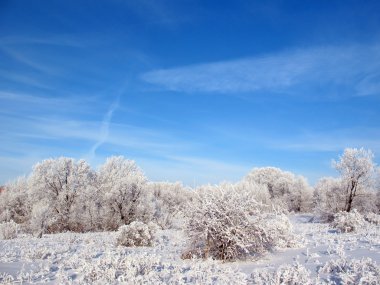 Blue winter sky in sunny day. clipart
