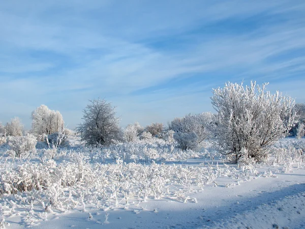 Зимнее небо — стоковое фото