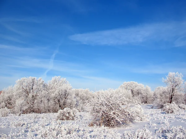 Céu azul de inverno em dia ensolarado . — Fotografia de Stock