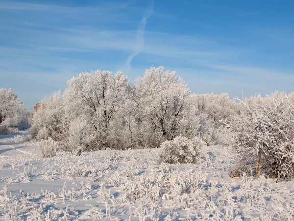 Kış frost 2 — Stok fotoğraf