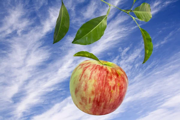 Spadające jabłko — Zdjęcie stockowe