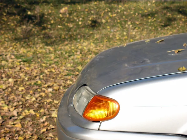 stock image Travel on auto in the autimn forest.