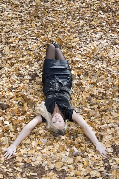 stock image Autumn forest