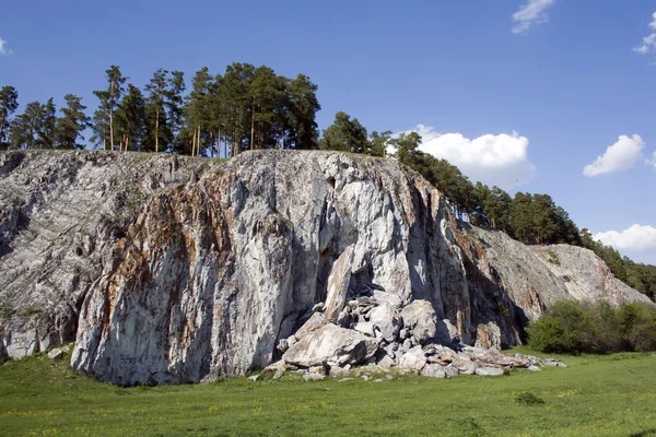 Erdőben, egy szikla — Stock Fotó