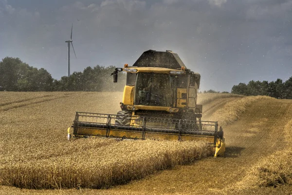 Grain harvest 2 — Stock Photo, Image